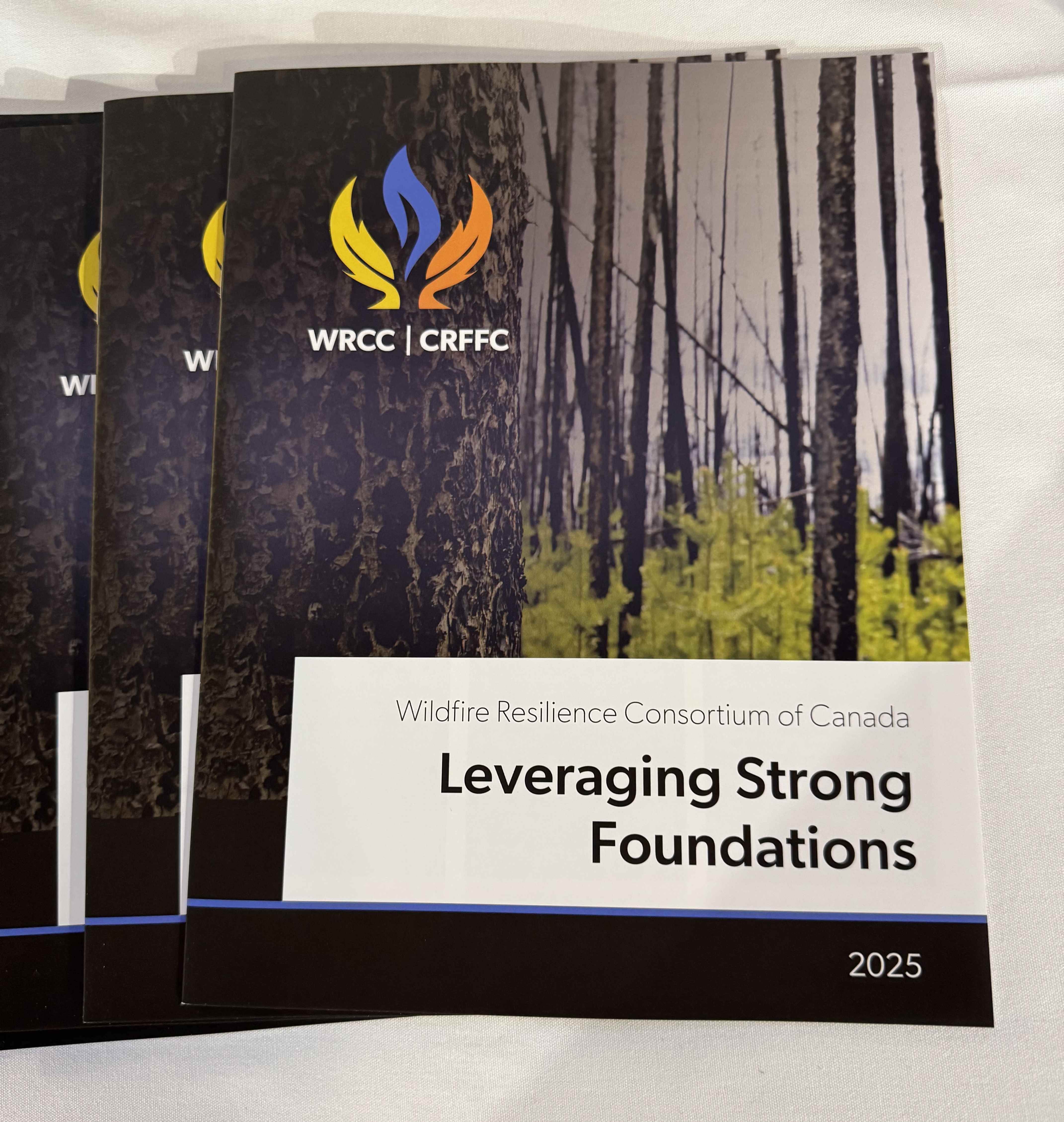 WRCC Briefs & Infographics image