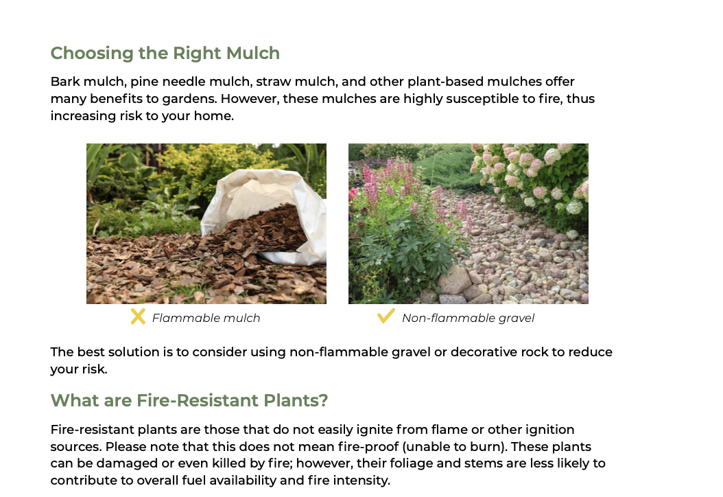 FireSmart Landscaping Guide thumbnail