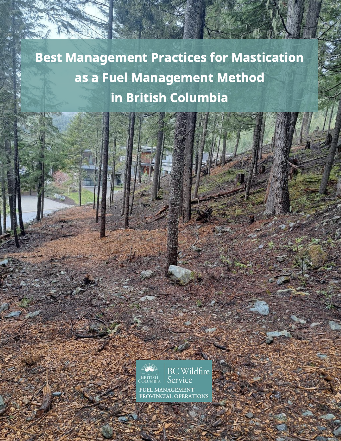Best Management Practices for Mastication as a Fuel Management Method in British Columbia thumbnail