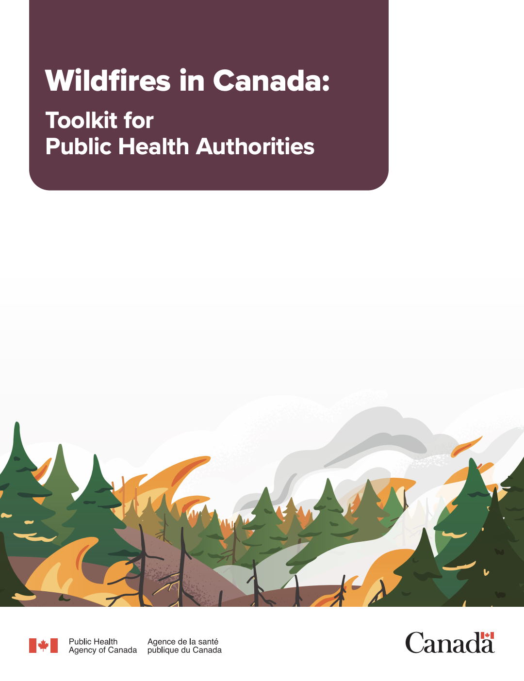Wildfires in Canada: Toolkit for Public Health Authorities thumbnail
