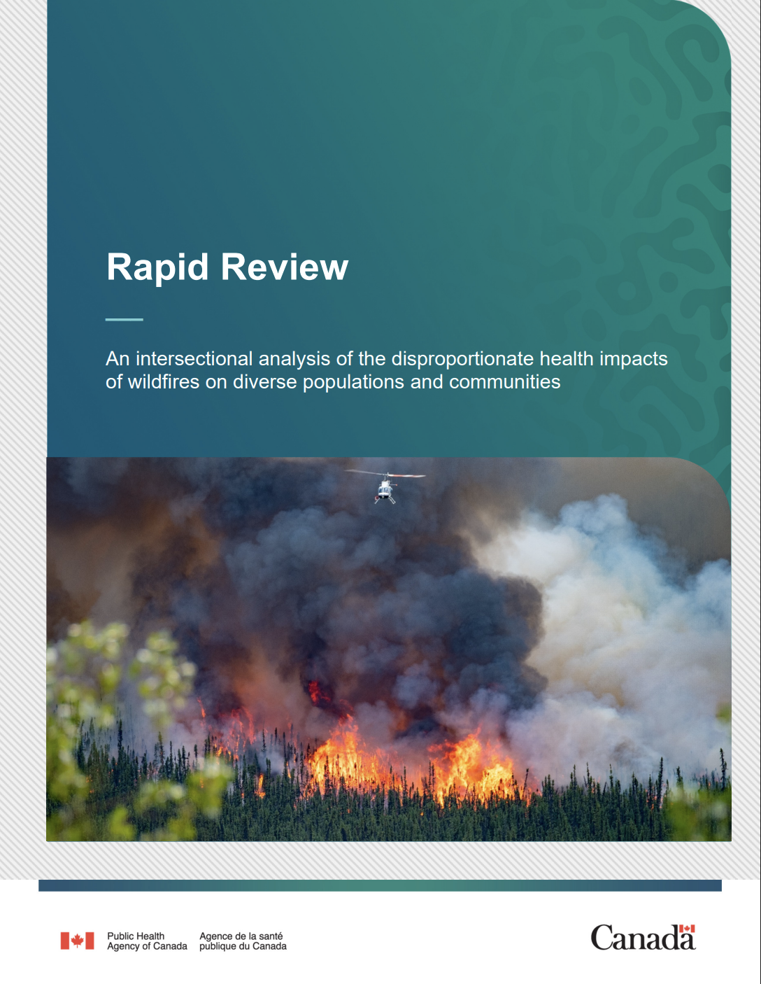 Rapid review: An intersectional analysis of the disproportionate health impacts of wildfires on diverse populations and communities thumbnail