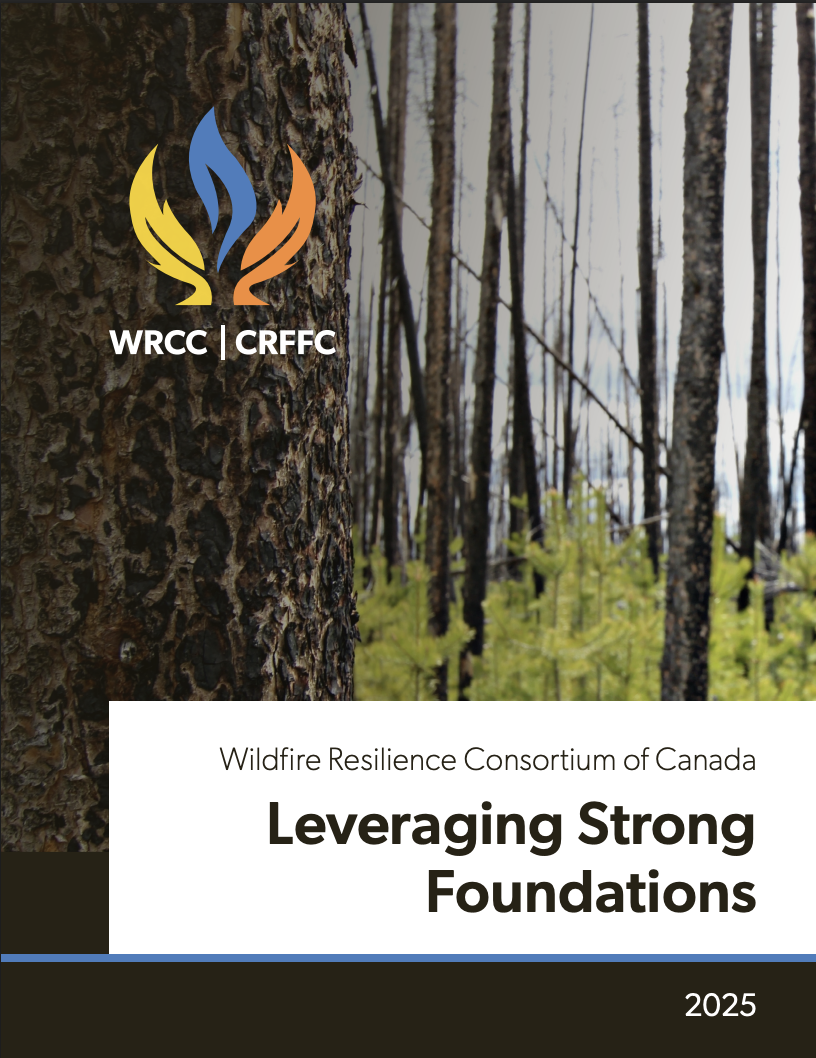 Priorities - Leveraging Strong Foundations thumbnail