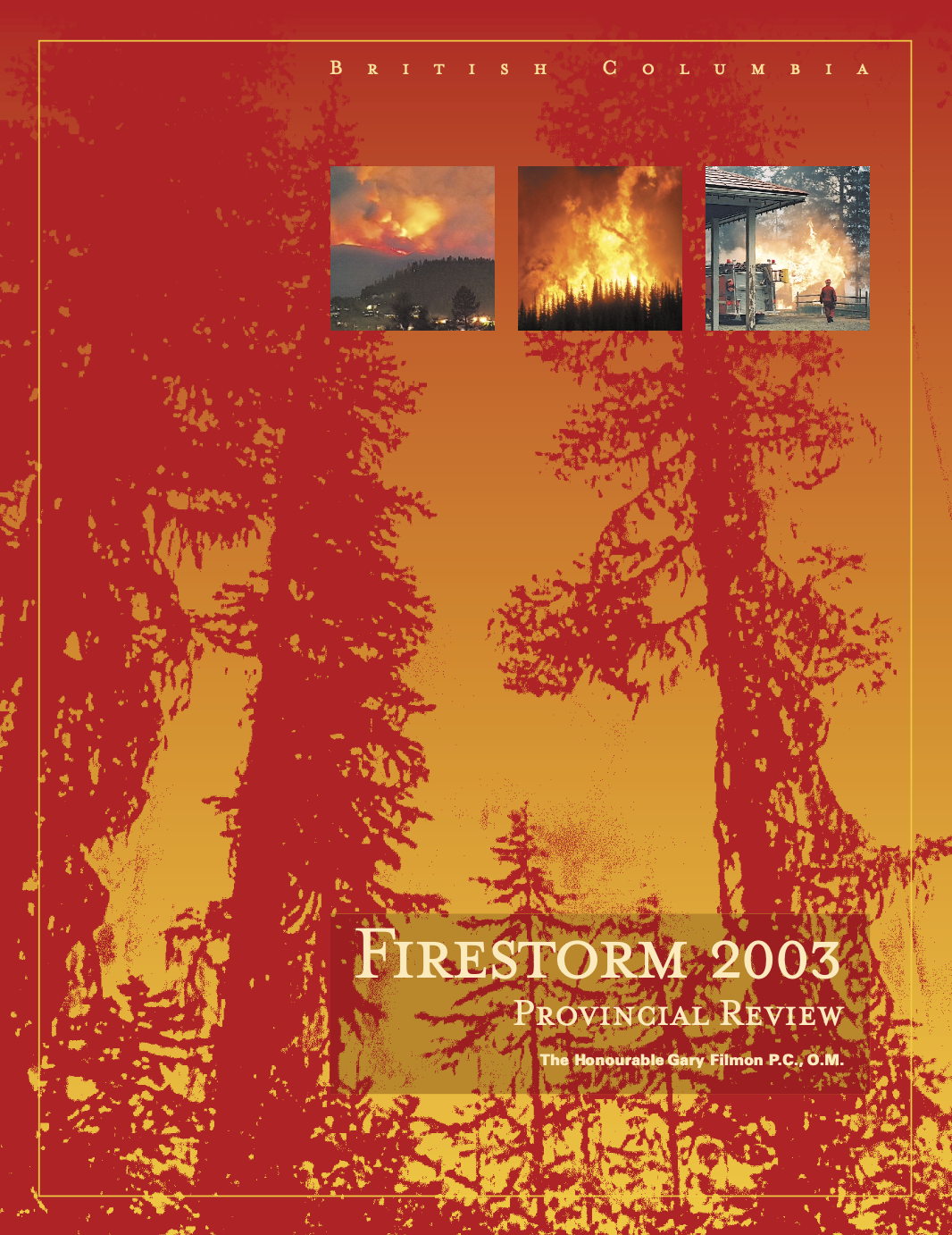 Firestorm 2003: Provincial Review thumbnail
