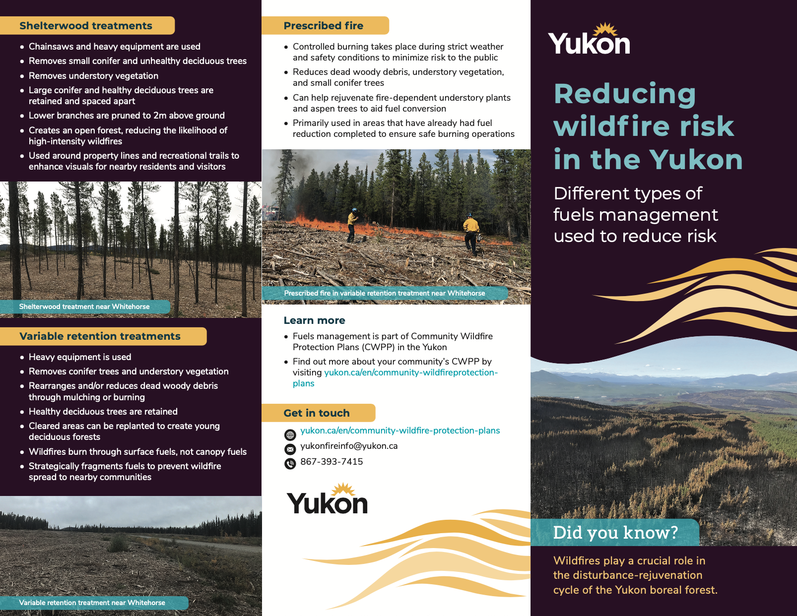Reducing wildfire risk in the Yukon: Different types of fuels management used to reduce risk thumbnail