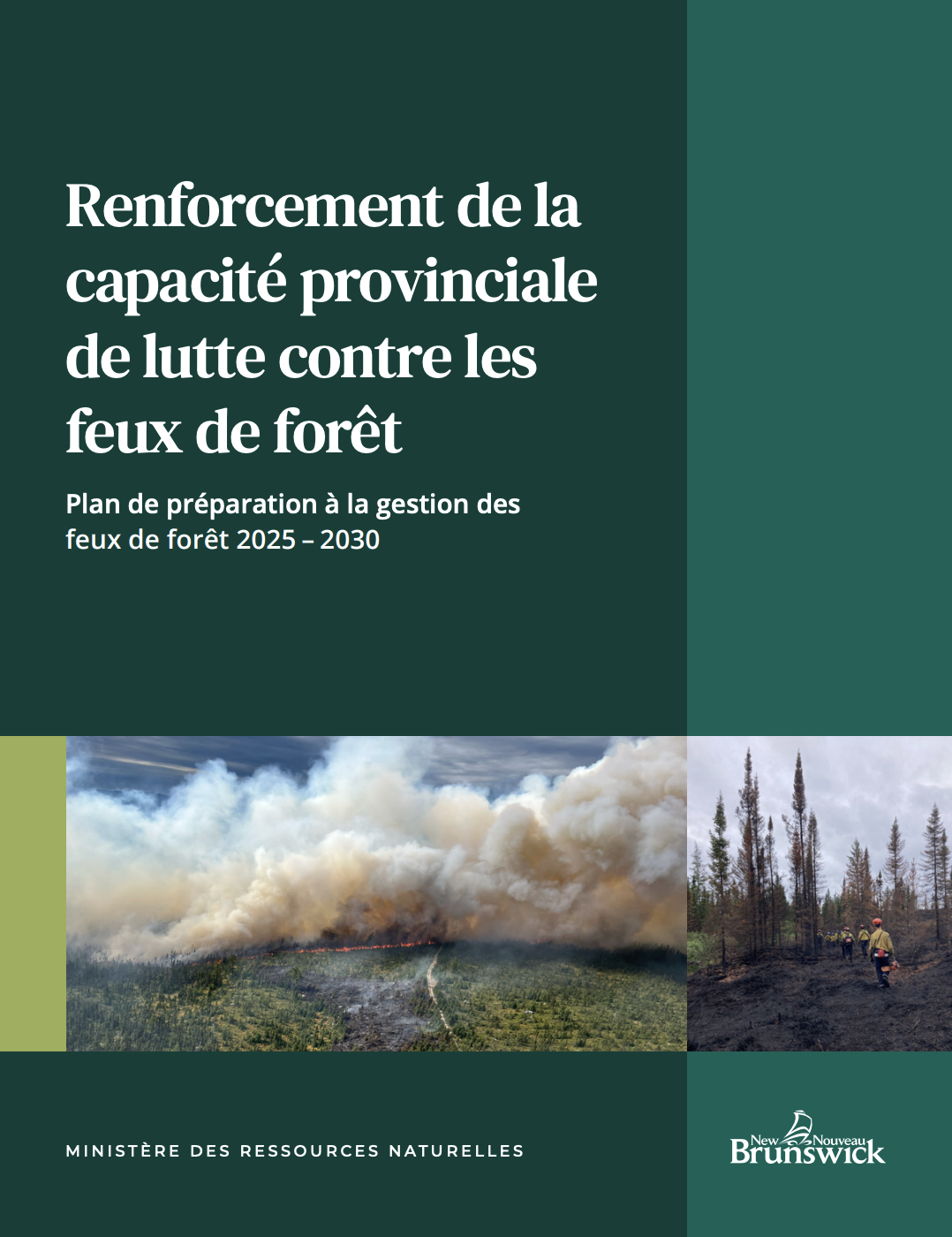 Renforcement de la capacité provinciale de lutte contre les feux de forêt : Plan de préparation à la gestion des feux de forêt 2025 – 2030 thumbnail
