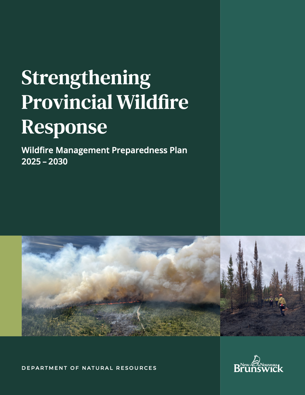 Strengthening Provincial Wildfire Response: Wildfire Management Preparedness Plan 2025 – 2030 thumbnail