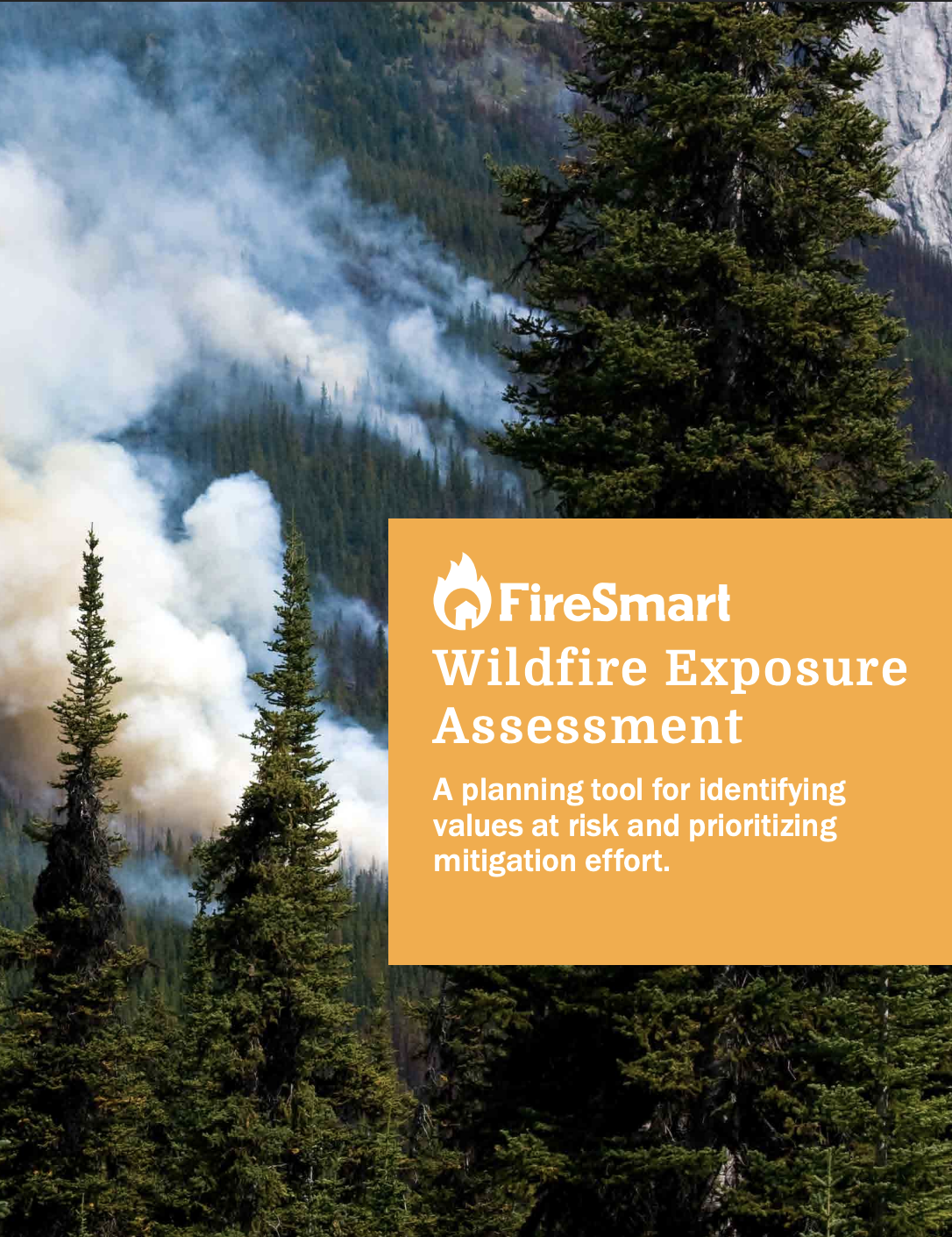 FireSmart Wildfire Exposure Assessment thumbnail